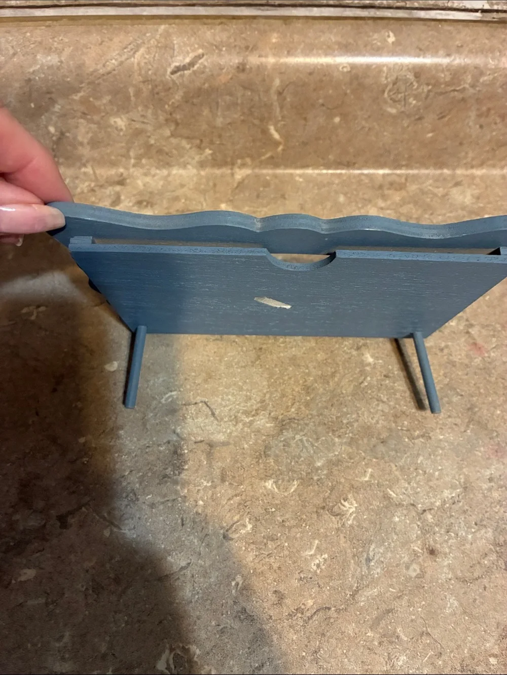 Hand-Painted Blue Duck Picture Frame by
